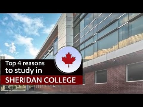 Top reasons to study in Sheridan college