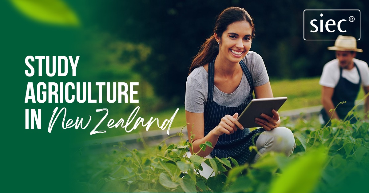 Study Agriculture in New Zealand | Study in New Zealand Study Agriculture in New Zealand | Study in New Zealand