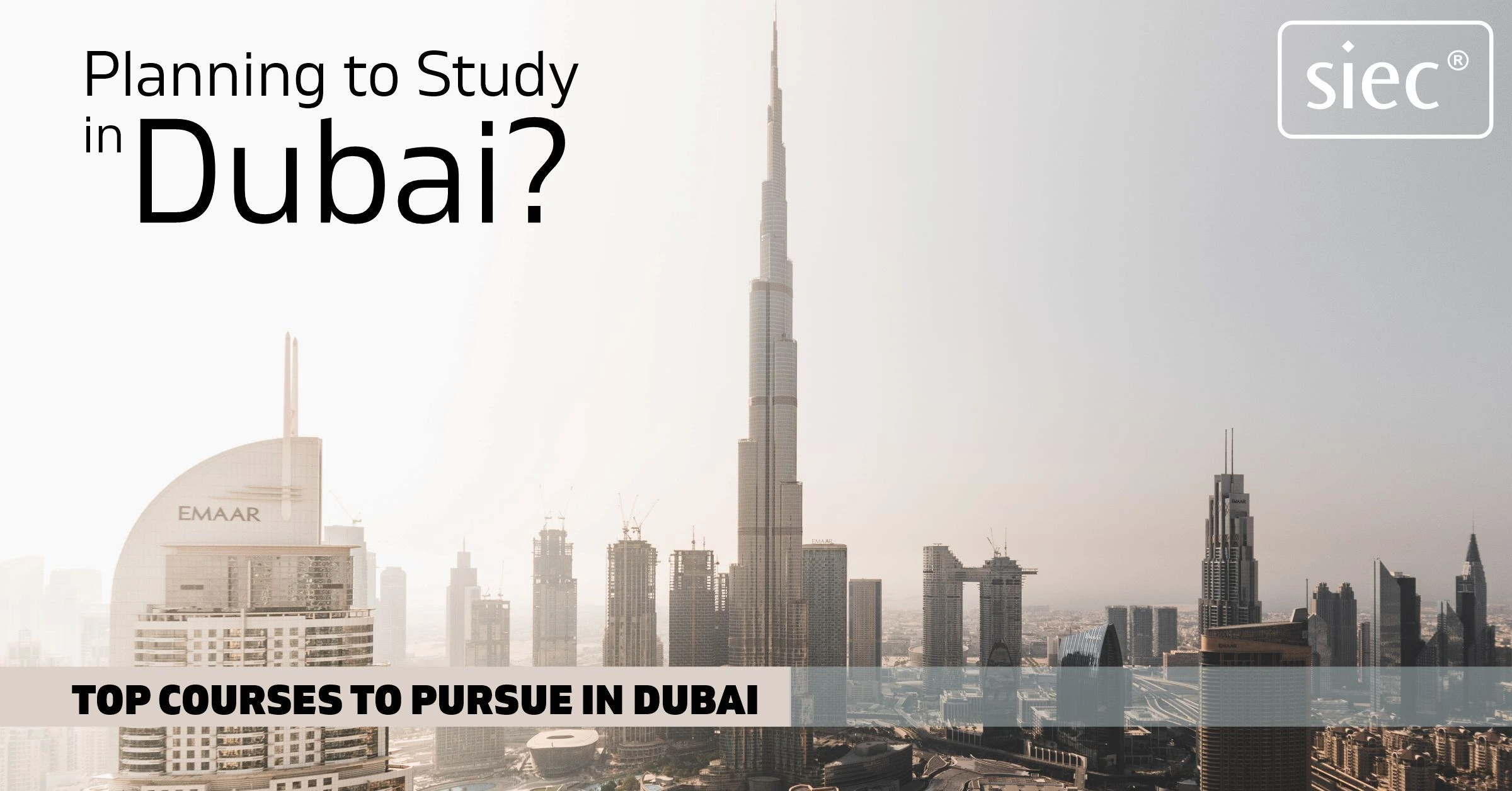 Planning to Study in Dubai? Top Courses to pursue in Dubai