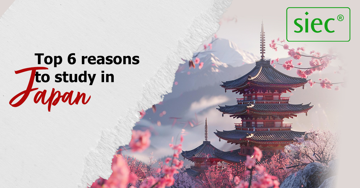 Top 6 reasons to study in Japan | An ideal student destination