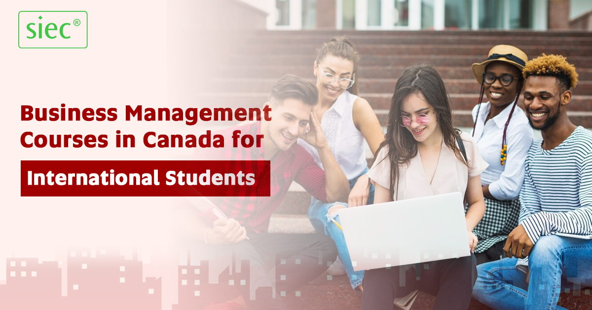 Business Management Courses in Canada for International Students