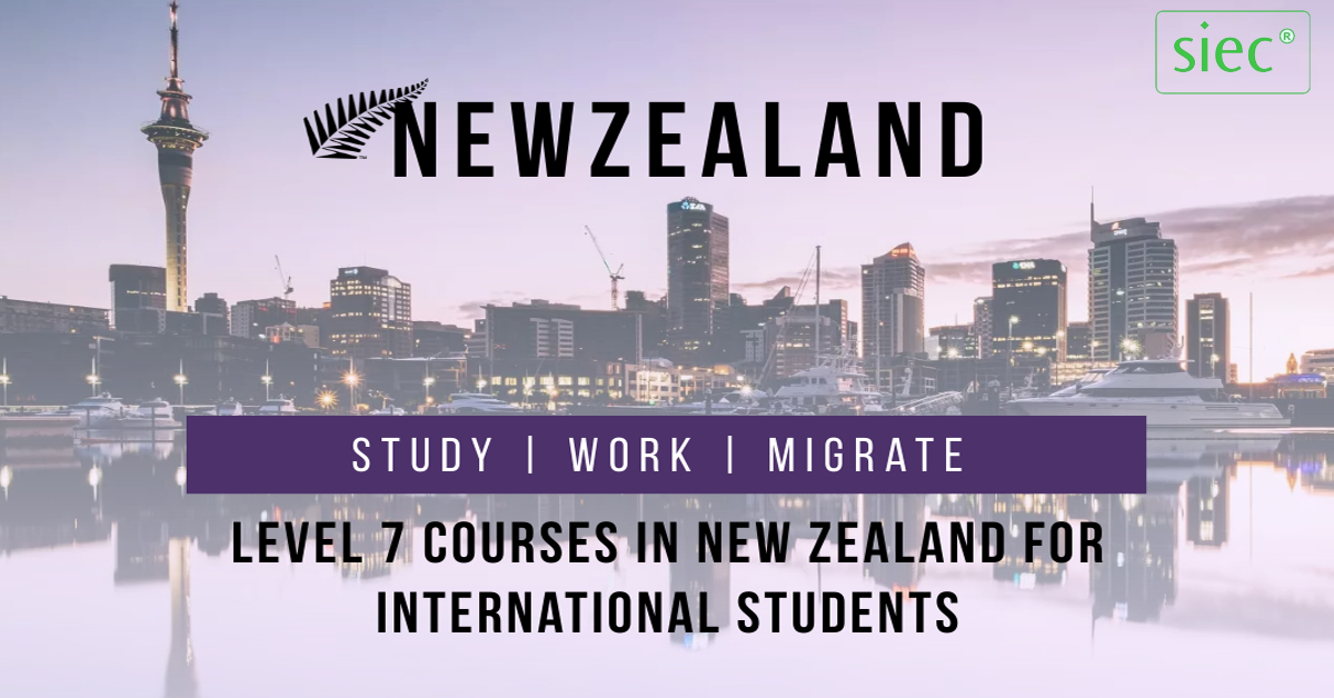 Level 7 courses in New Zealand for international Students