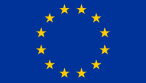 Pathway to Europe –  1:1 Guidance for Aspiring students